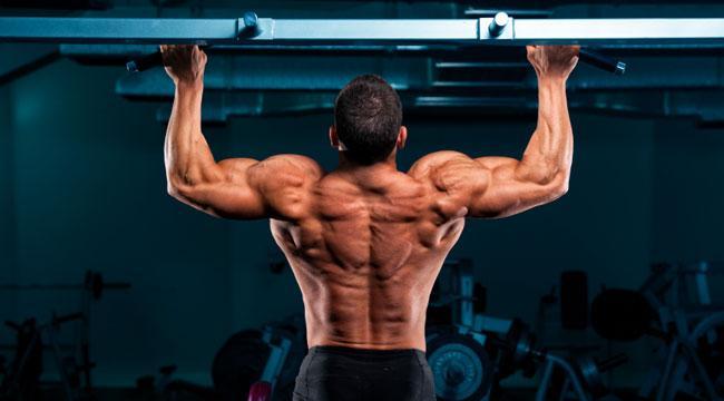 كيف تحصل على عضلات ظهر مشدودة ومتناسقة