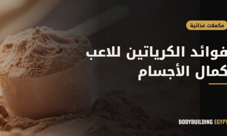 فوائد الكرياتين للاعب كمال الأجسام