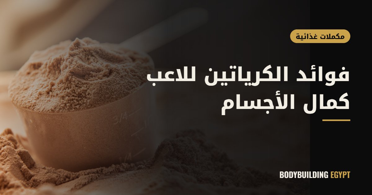 فوائد الكرياتين للاعب كمال الأجسام